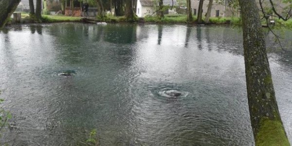 Унікальна Україна: 24 куточки, створені природою та людиною. ФОТО