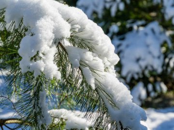 Погода в Луцьку та Волинській області на завтра, 1 грудня