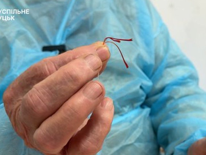 На Волині дід з онуком вирощують найдорожчу спецію у світі, один грам якої коштує 4 євро. ВІДЕО