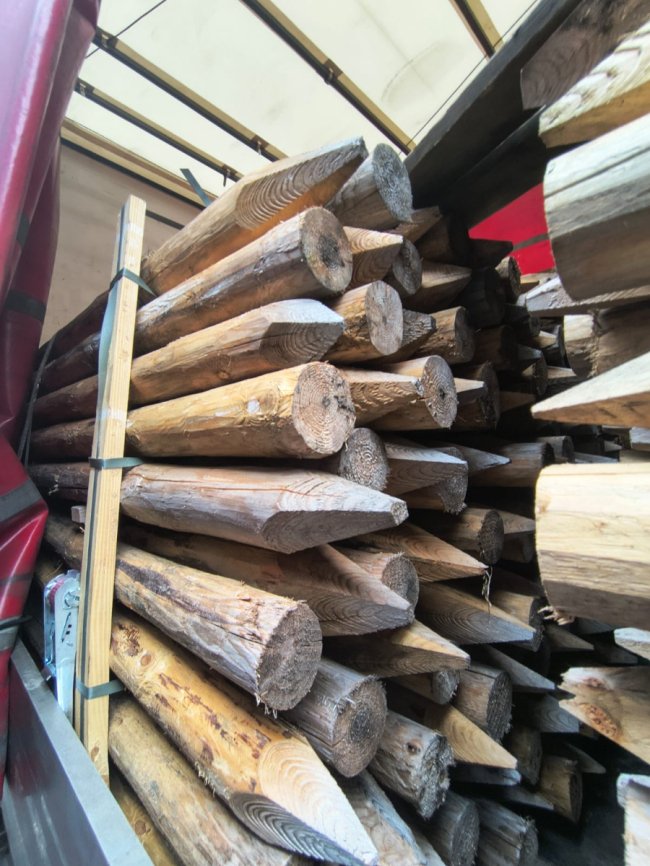 Через «Ягодин» намагалися незаконно вивезти з України 29 тонн сосни 