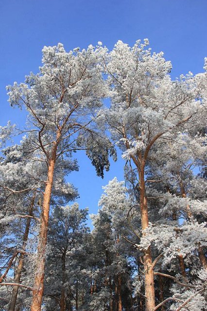 Казковий Стир скувало кригою. ФОТО
