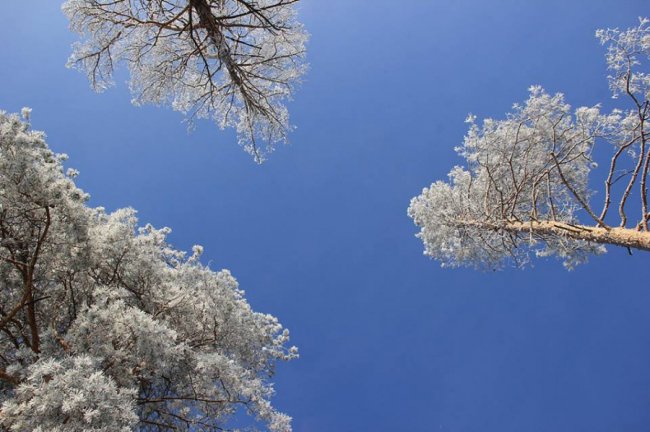 Казковий Стир скувало кригою. ФОТО