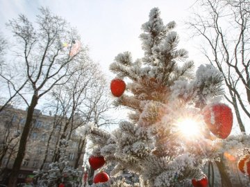 Погода в Луцьку та Волинській області на вівторок, 3 грудня