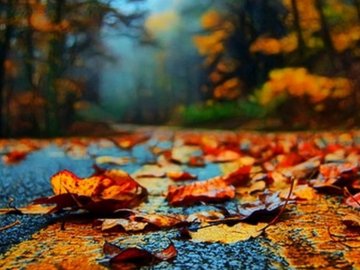 Погода у Луцьку та Волинській області на четвер, 19 листопада