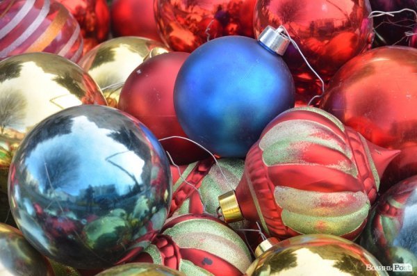 Розпочали прикрашати ялинку біля Луцькради. ФОТО 