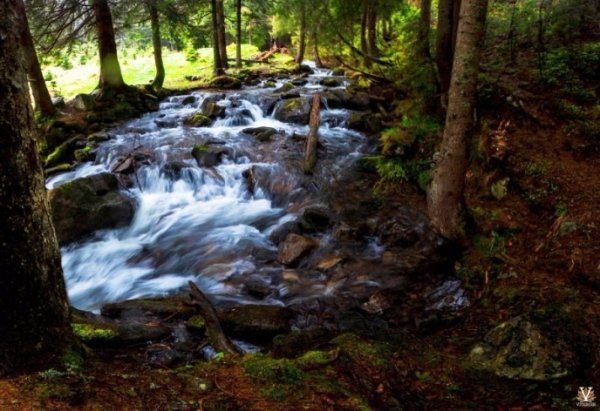 Чарівність карпатського літа крізь об'єктиви українських фотографів. ФОТО