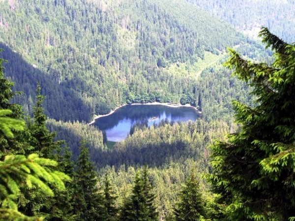 Чарівність карпатського літа крізь об'єктиви українських фотографів. ФОТО