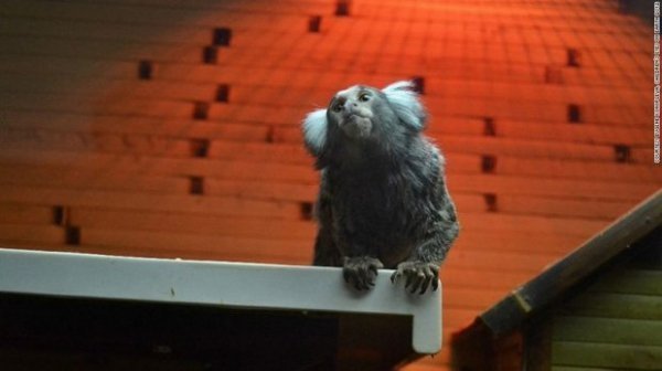 Світлина волинської бабусі - серед фото, які вразили весь світ. ФОТО