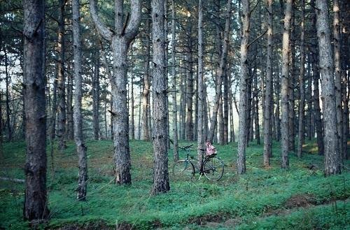 Світлина волинської бабусі - серед фото, які вразили весь світ. ФОТО