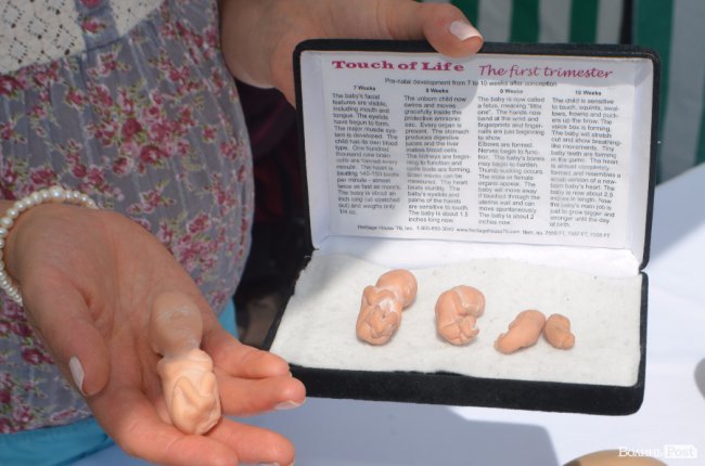 Сімейний фестиваль в Луцьку: як це було. ФОТО