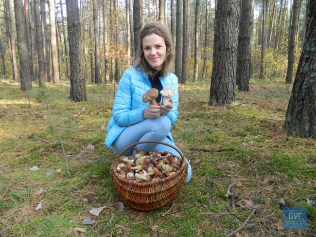Повні кошики грибів: волинянка похизувалась своїм «уловом». ФОТО