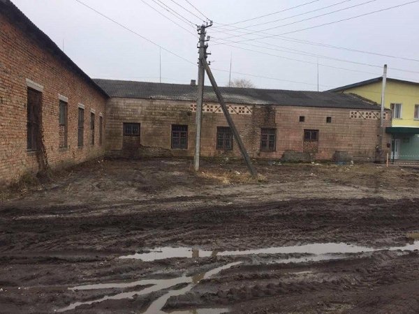 Показали, як на Волині сучасно облаштували лісництво