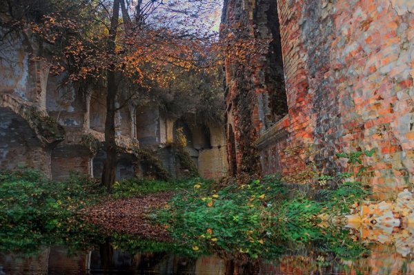 Пейзажі золотої пори: відтінки осені в Україні. ФОТО