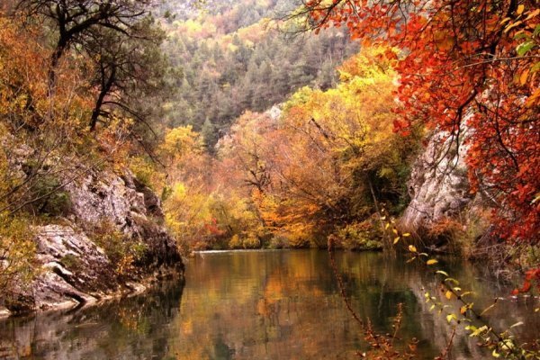 Пейзажі золотої пори: відтінки осені в Україні. ФОТО