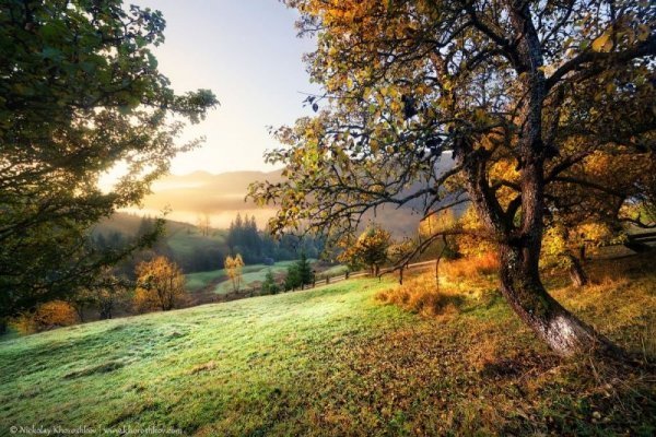 Пейзажі золотої пори: відтінки осені в Україні. ФОТО