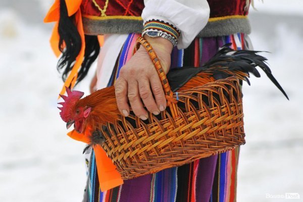 «Різдво у Луцьку»: камерний оркестр, «ФлайzZa» та 50 колективів