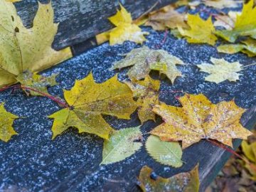 Погода у Луцьку на завтра, 3 листопада