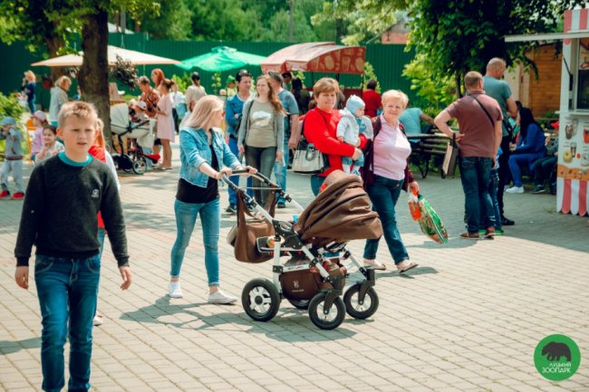 Як у луцькому зоопарку відгуляли День тигра. ФОТО