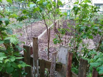 На декількох вулицях Луцька знесуть занедбані паркани