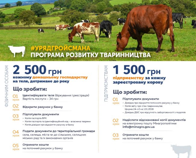 Яку урядову допомогу можна отримати на селі для розвитку господарства