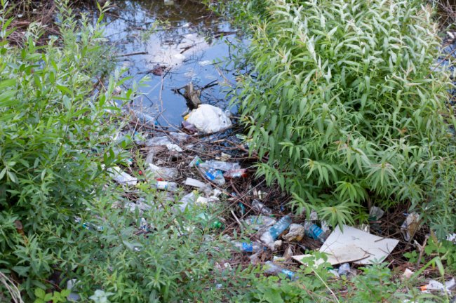 Ігор Чайка: «На «Сільмаші» у Ковелі живуть небайдужі люди, які хочуть, щоб їх почули»*