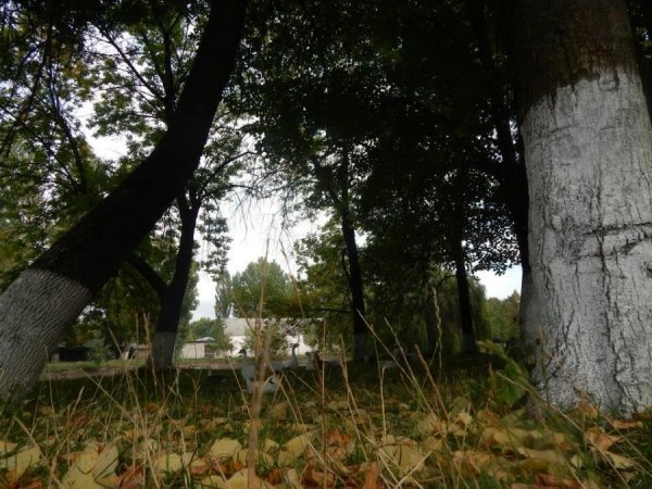 Осінь у Луцькому зоопарку. ФОТО