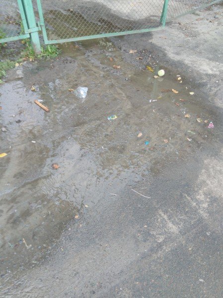 У Луцьку нечистоти заливають вулицю. ФОТО