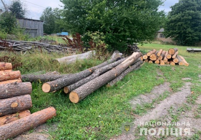 На волинських пилорамах зберігали незаконну деревину. ФОТО