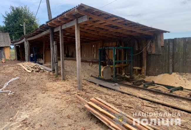 На волинських пилорамах зберігали незаконну деревину. ФОТО