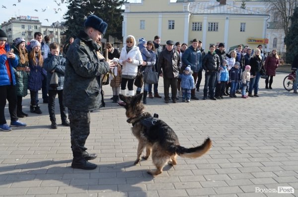 У Луцьку - благодійний  «масляний» ярмарок. ФОТО