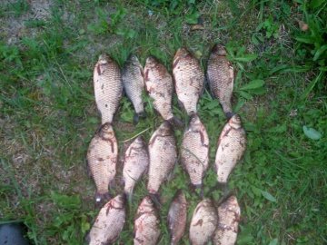 На ринку на Світязі незаконно продавали рибу