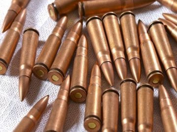 На Волині  у чоловіка вилучили боєприпаси