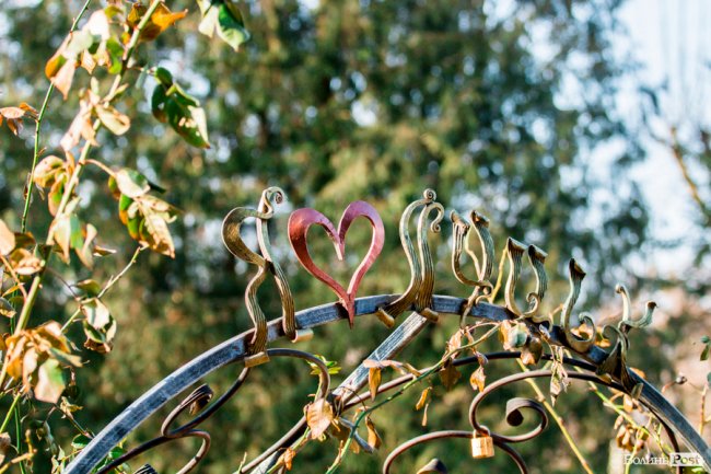 У Луцьку – майже весна. ФОТОРЕПОРТАЖ