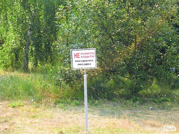 Відпочинок під Луцьком. Озерце. ФОТО 