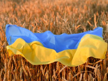 Добрі новини від ВолиньPost за 29 липня