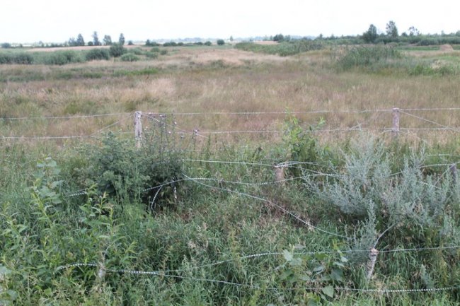 На Волині хочуть побудувати ще один пункт пропуску. ФОТО