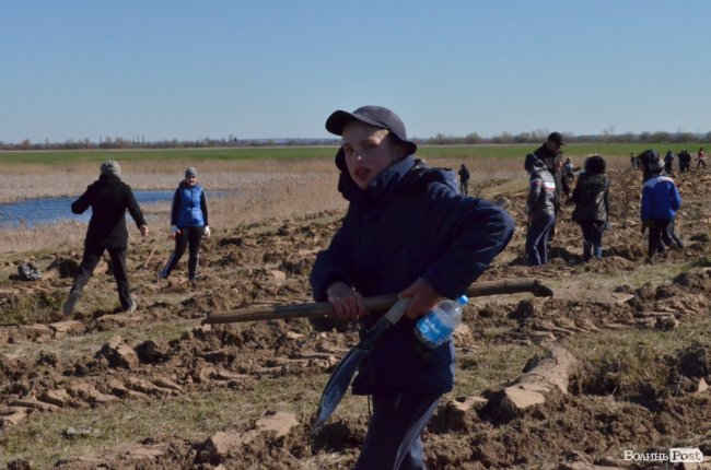 Екологічна акція у Промені, або Як у шквальний вітер народжувався новий ліс. ФОТО