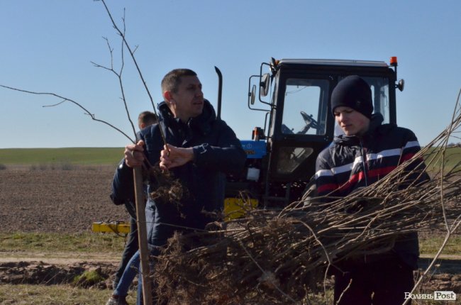 Екологічна акція у Промені, або Як у шквальний вітер народжувався новий ліс. ФОТО