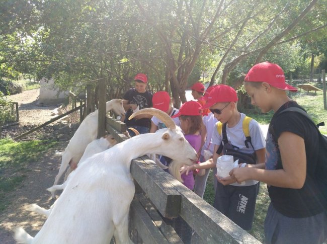 Діти волинських героїв вирушили на відпочинок до Відня. ФОТО