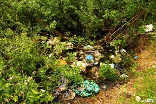 У Луцьку величезне сміттєзвалище «не помічають» більше 10 років