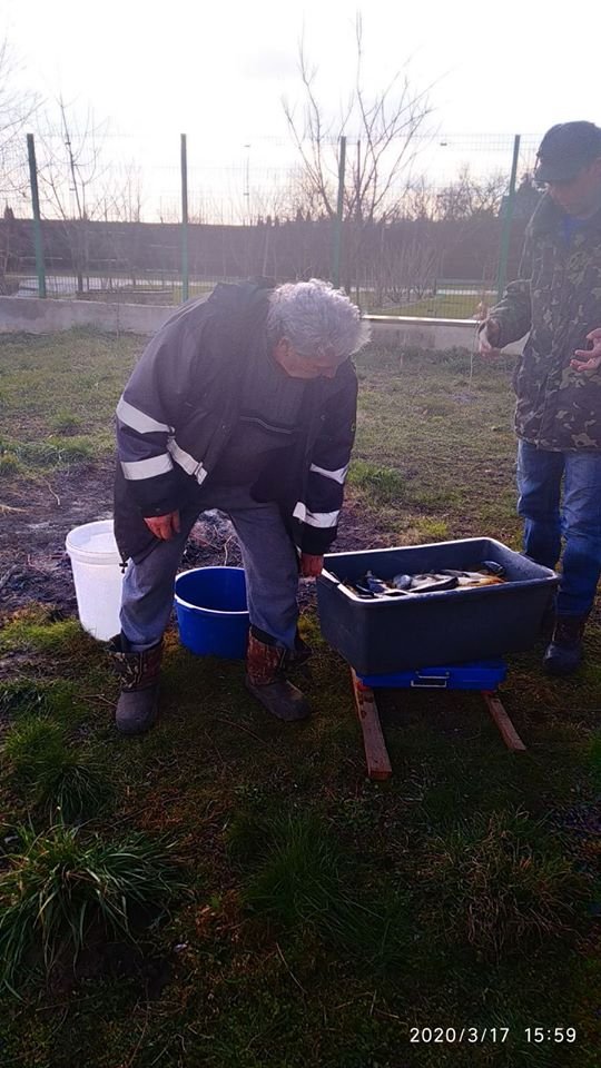 Волинський рибпатруль випустив у Хрінницьке водосховище майже тонну риби. ФОТО