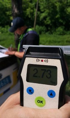 На Волині ДТП: машина злетіла в кювет, а п'яний водій дивом вцілів. ФОТО