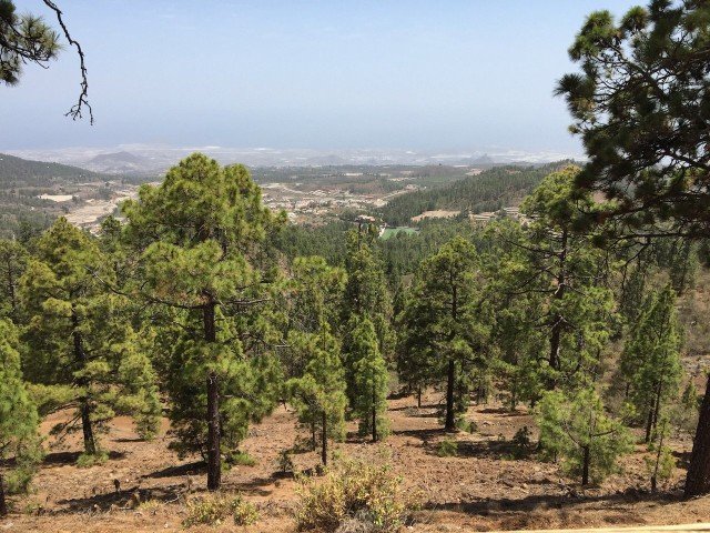 Мандрівник з Луцька піднявся на найвищу точку Іспанії. ФОТО
