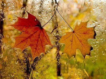 Погода в Луцьку та Волинській області на вихідні, 24 і 25 жовтня
