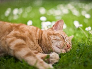 «Буде багато сонця»: синоптик озвучила прогноз погоди на вихідні