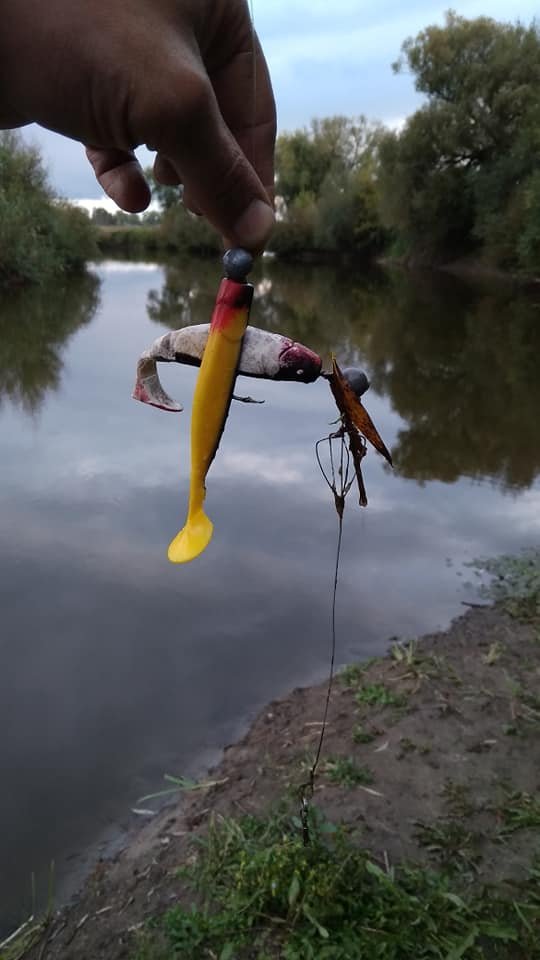 У Стиру чоловік упіймав величезну щуку. ФОТО
