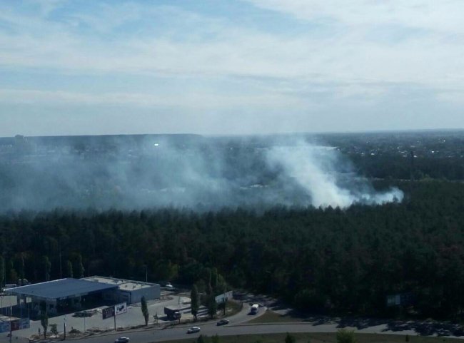 На окраїні Києва горить ліс
