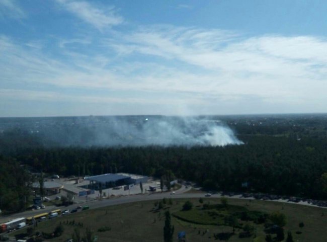 На окраїні Києва горить ліс