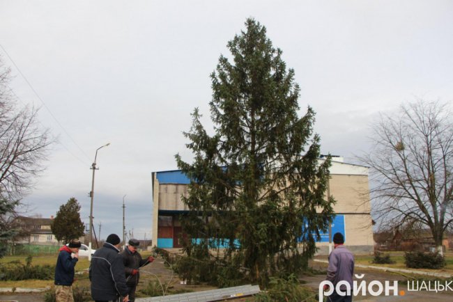 Показали, якою буде головна ялинка Шацька