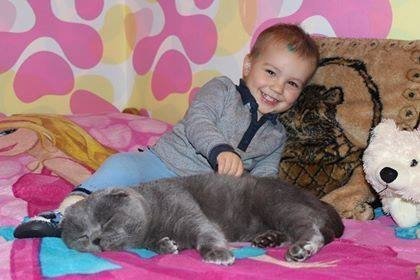 Фото «котячо-собачого» хіт-параду від Луцького зоопарку (част. 3)